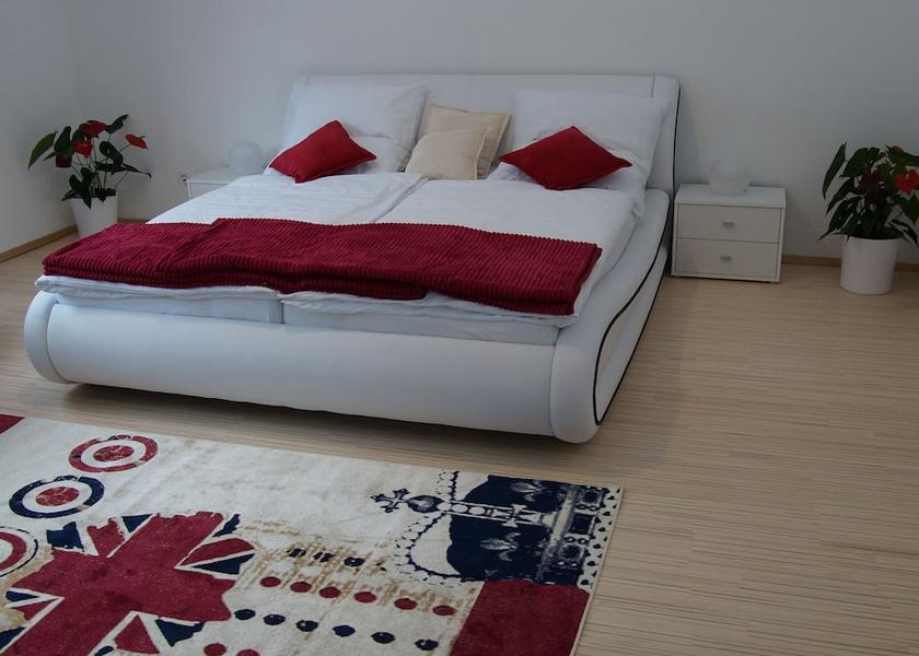 Upper Austria Obertraun Room