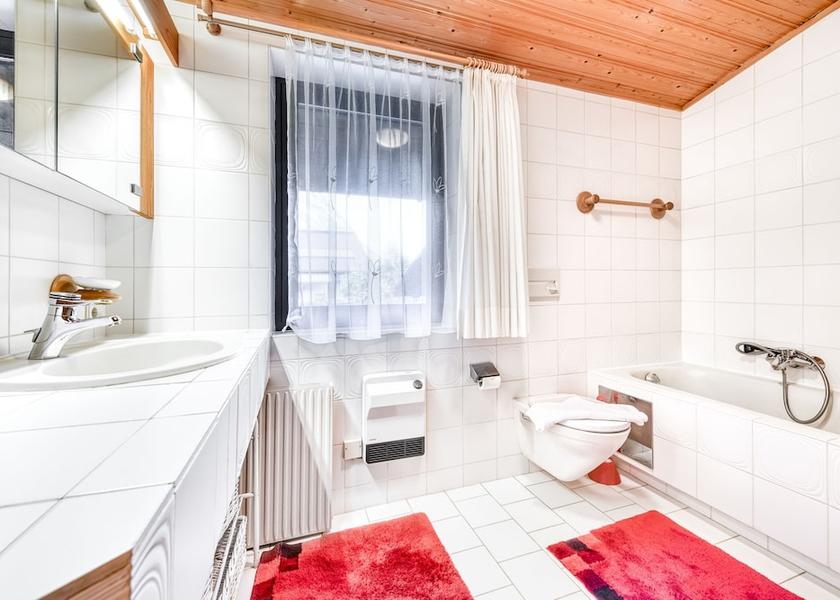 Vorarlberg Brand Bathroom