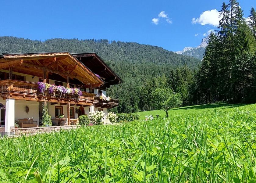 Salzburg State Saalfelden am Steinernen Meer Exterior Detail