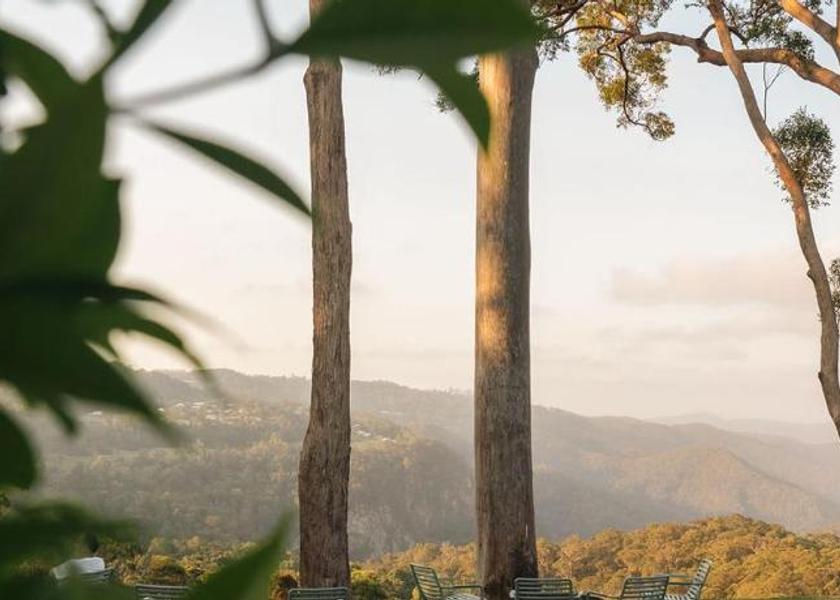 Queensland Tamborine Mountain Surrounding environment
