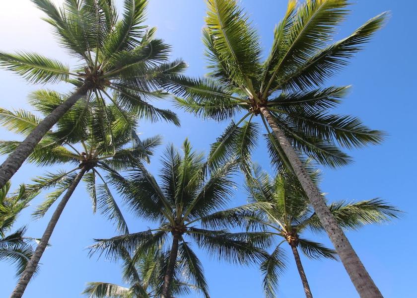 Queensland Cairns Beach