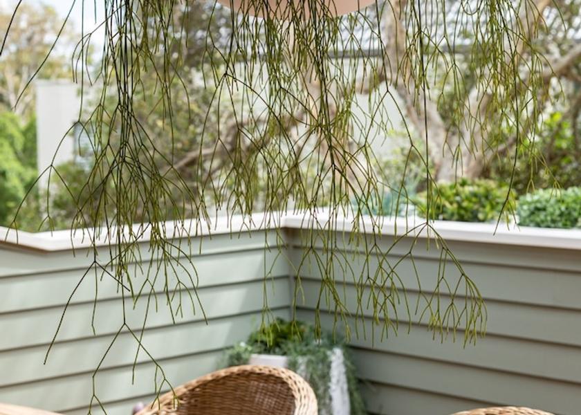 Queensland Sunshine Coast Balcony View