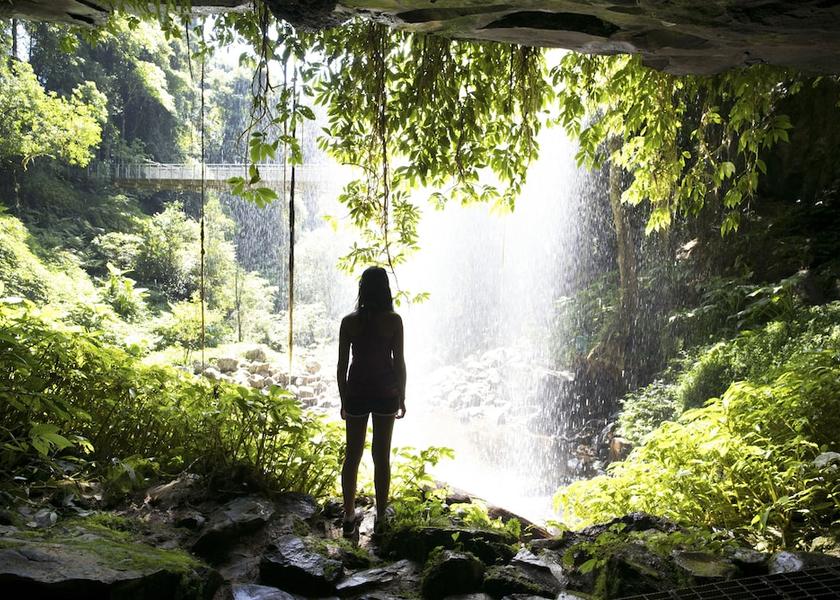 New South Wales Bellingen Hiking