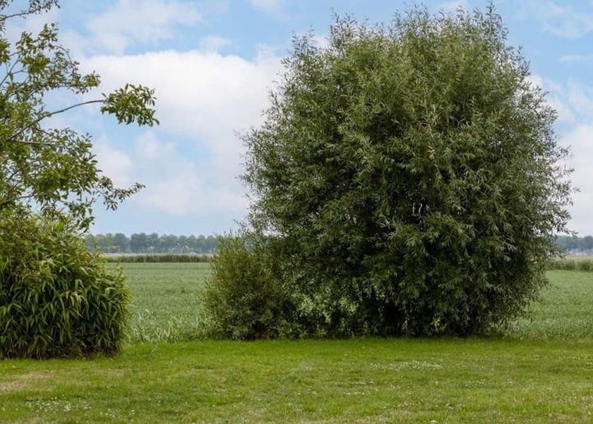 Flemish Region De Haan Room