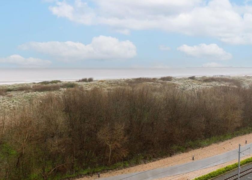 Flemish Region Blankenberge Room