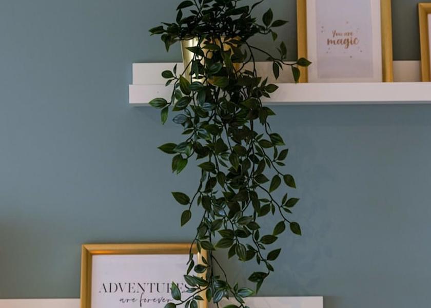 Flemish Region Blankenberge Room