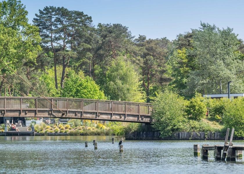 Flemish Region Mol View from Property