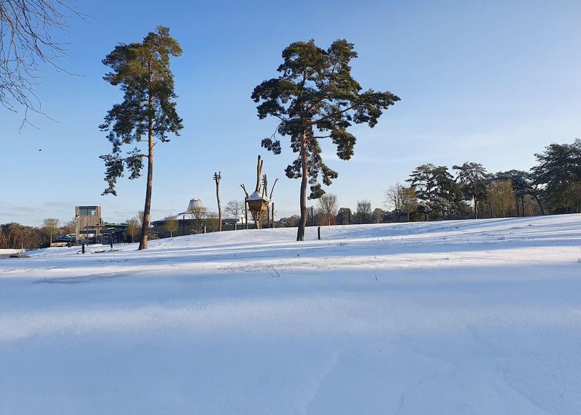 Flemish Region Mol View from Property