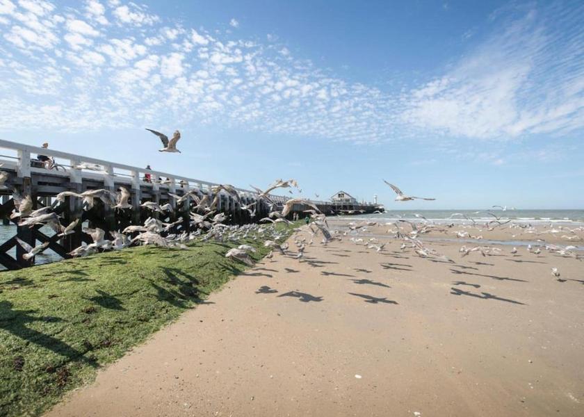 Flemish Region Blankenberge View from Property