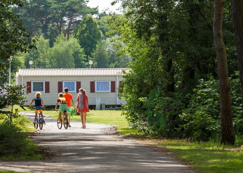 Flemish Region Mol Exterior Detail