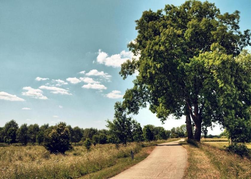 Flemish Region Maasmechelen View from Property
