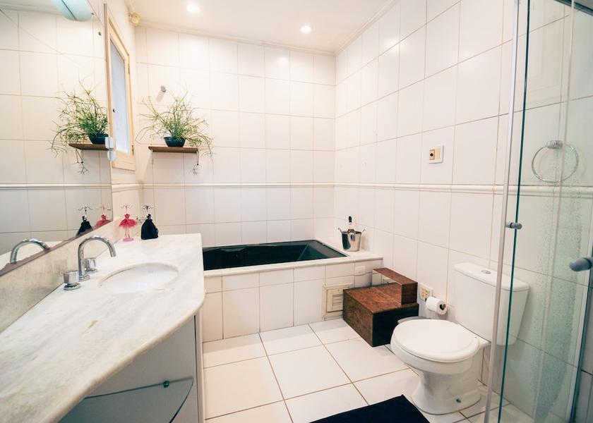 Rio Grande do Sul Pelotas Bathroom
