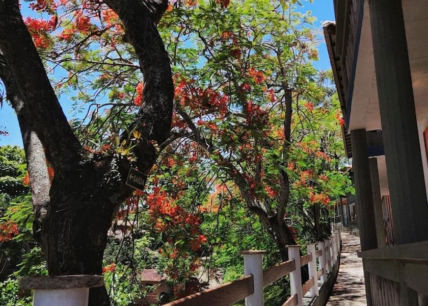 Espírito Santo Vila Velha Garden View
