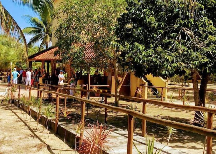 Bahia State Canavieiras Garden View