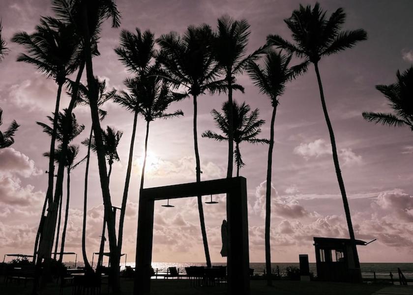 Pernambuco Ipojuca Garden