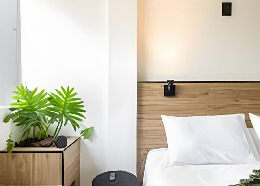 São Paulo State Santos Room