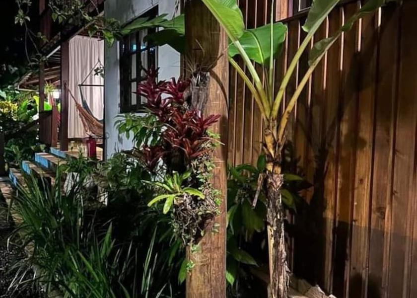 Rio de Janeiro State Paraty Front of property