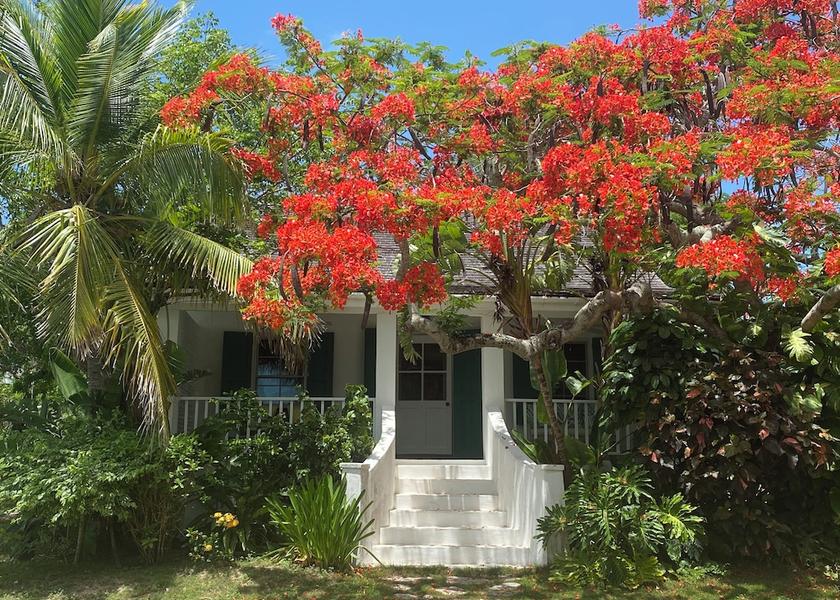 Central Eleuthera Governor's Harbour Facade
