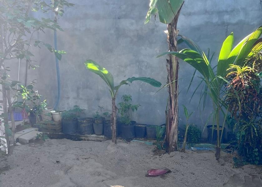 Stann Creek Placencia Courtyard view