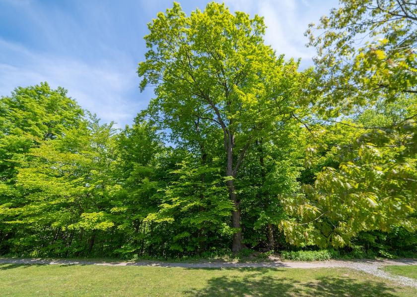 Ontario Oro-Medonte Facade