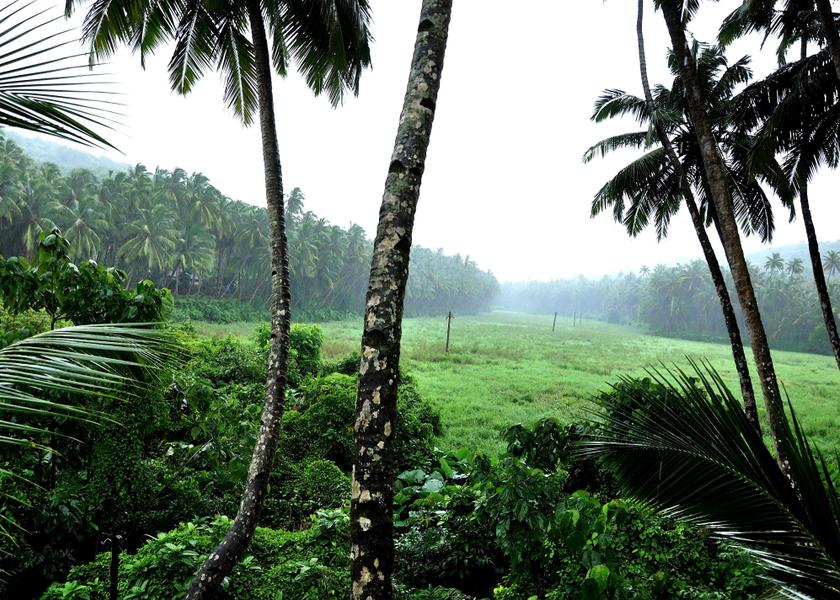 Goa Bogmalo Outdoors