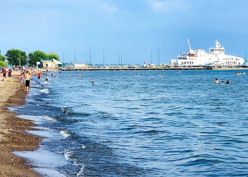Ferry Terminal Shuttle