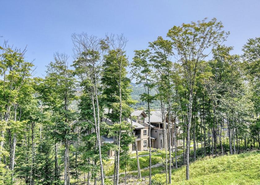 Quebec Mont-Tremblant View from Property