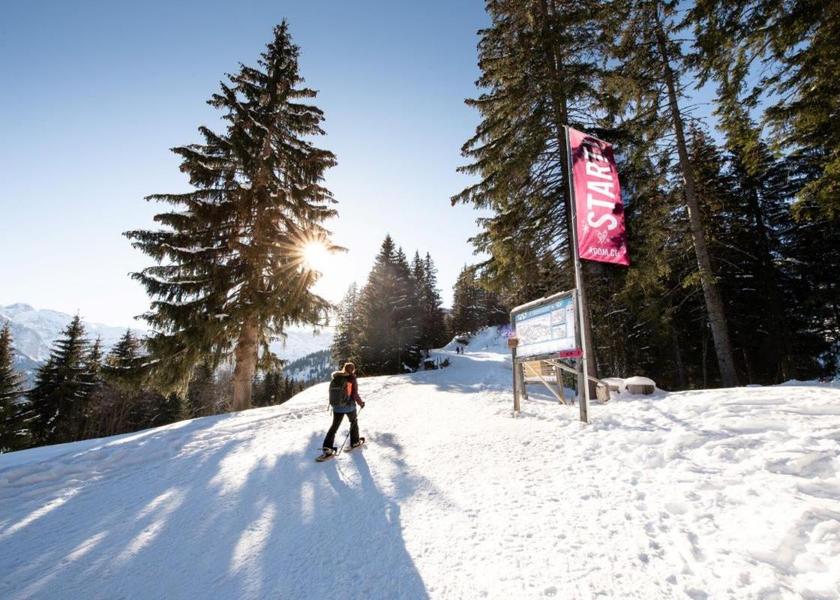 Sports and activities