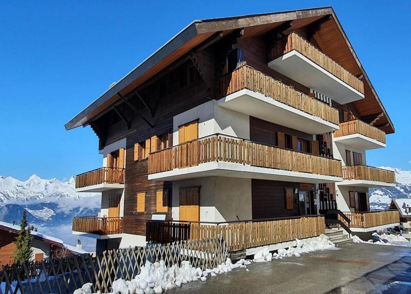 Valais Nendaz Exterior Detail