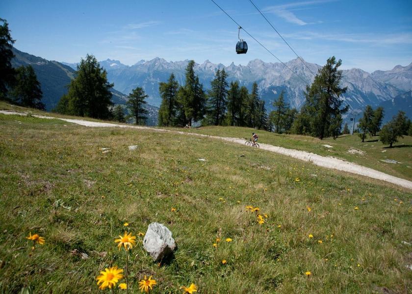 Valais Nendaz View from Property