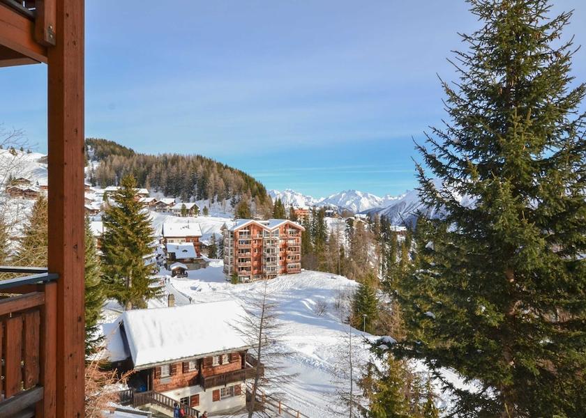 Valais Riederalp Property Grounds