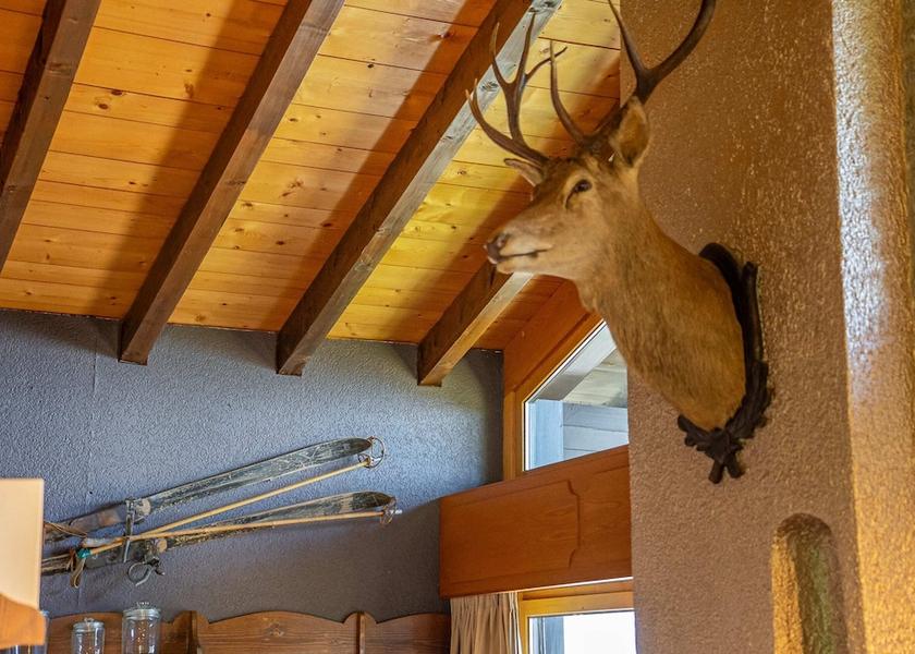 Valais Riederalp Amenity