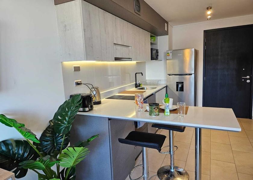 Araucanía Region Temuco Private kitchen