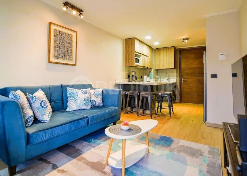 Araucanía Region Pucón Living Area