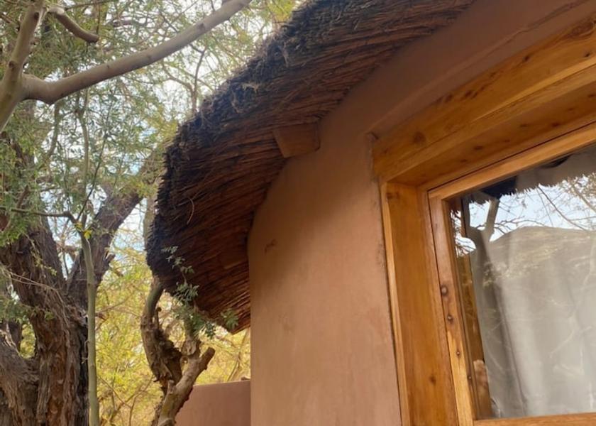 Antofagasta (region) San Pedro de Atacama Room