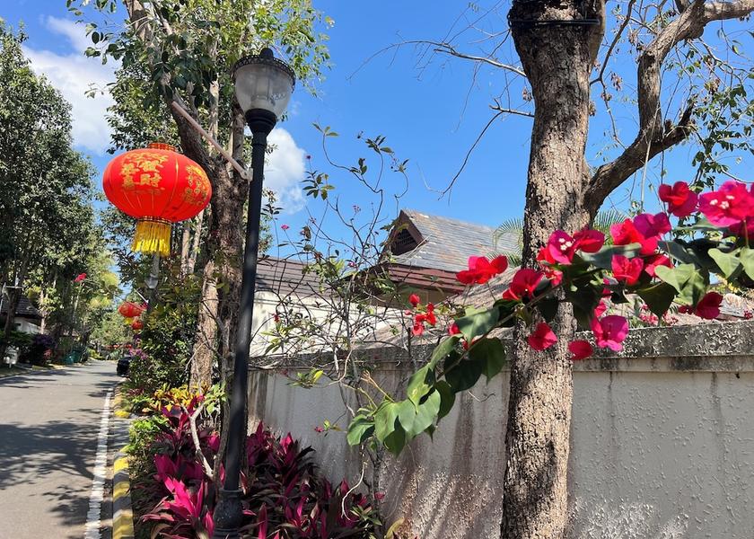 City View from Property