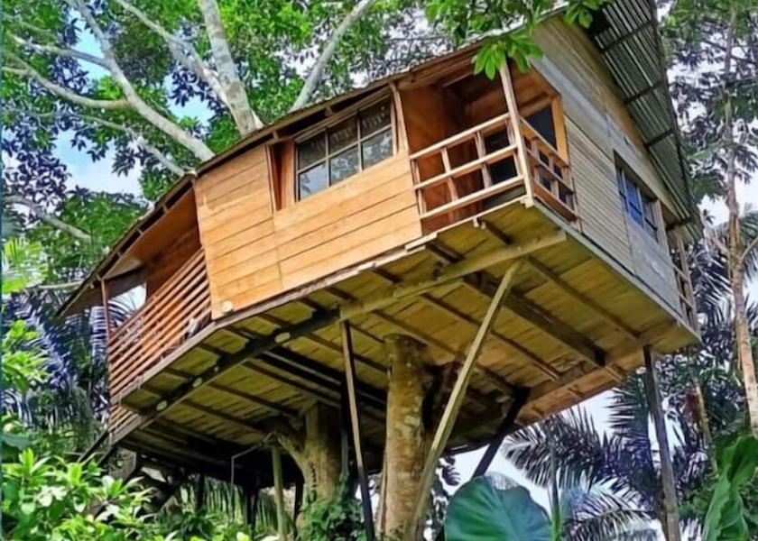 Amazonas Leticia View From Room