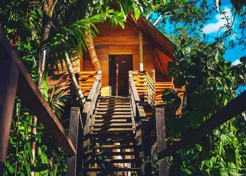 Amazonas Leticia Room