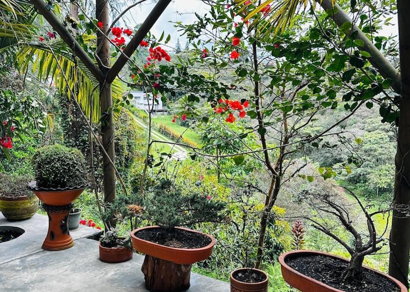 Antioquia Rionegro Terrace