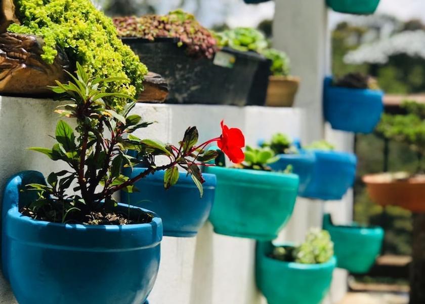 Antioquia Rionegro Exterior Detail