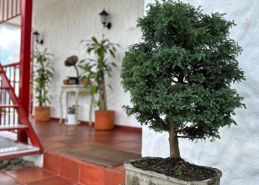 Risaralda Dosquebradas Garden