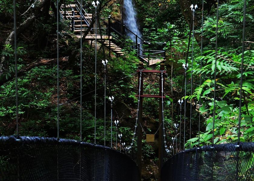 Guanacaste Tamarindo Hiking