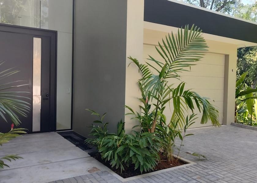 San Jose Ballena Room