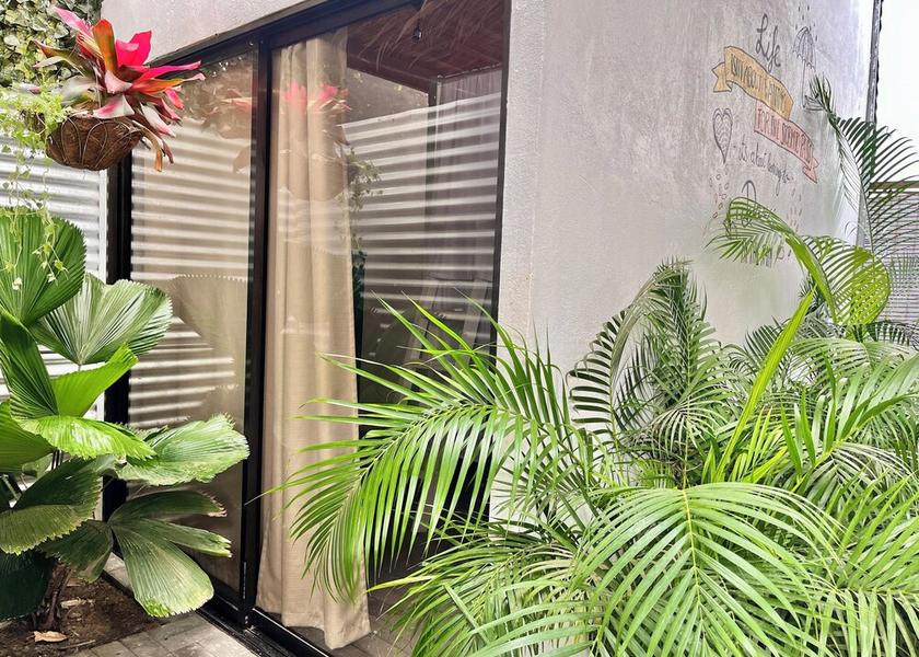 Limon Cahuita Garden View