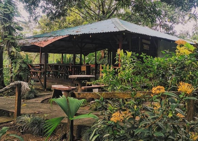 Puntarenas Province Drake Bay Restaurant