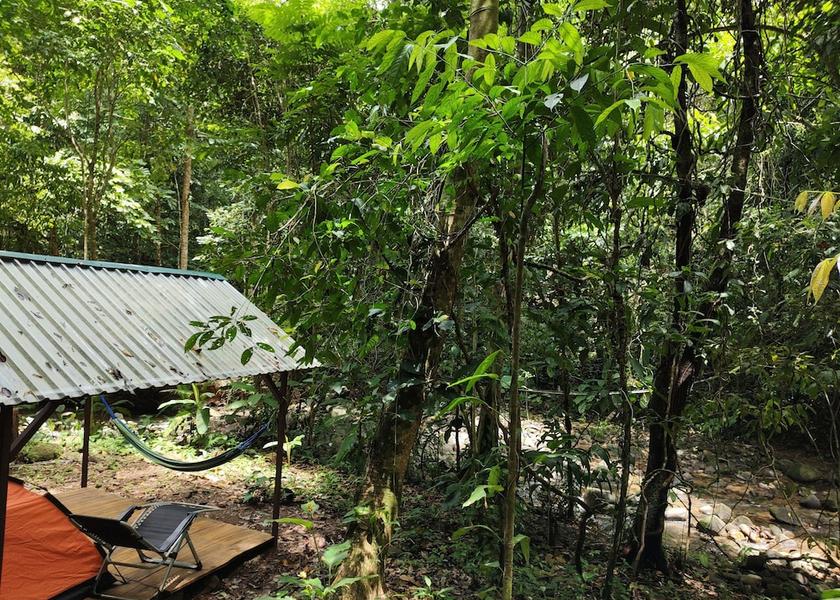 Puntarenas Province Bahía Ballena Primary image