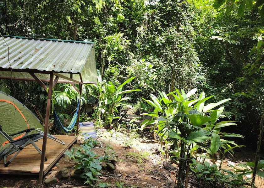Puntarenas Province Bahía Ballena Room