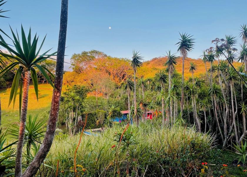 Puntarenas Monteverde Exterior Detail