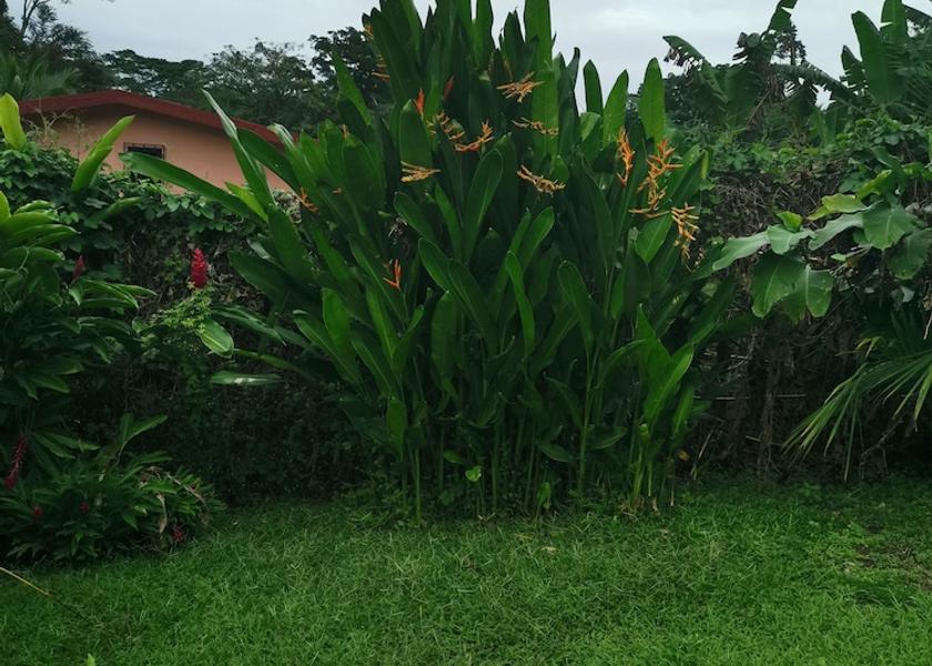 Limón Province Cahuita Exterior Detail