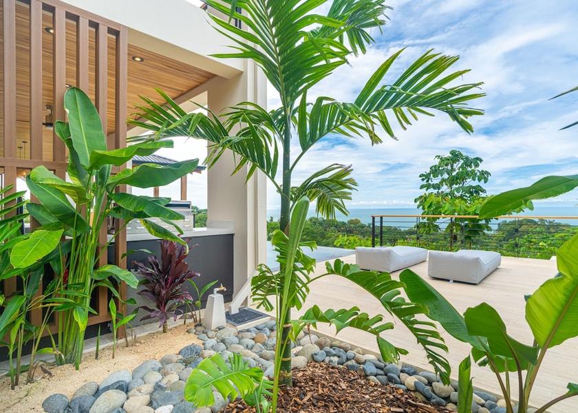 San Jose Ballena Room